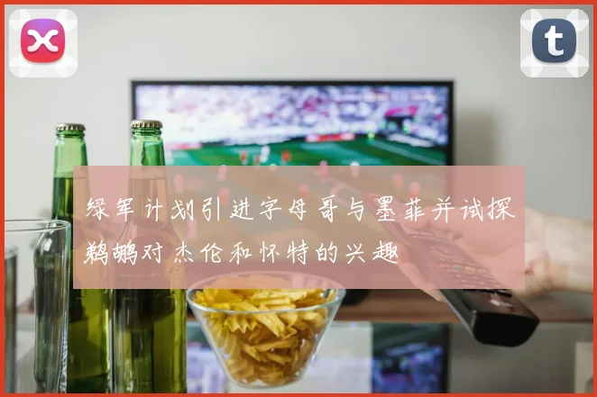 绿军计划引进字母哥与墨菲并试探鹈鹕对杰伦和怀特的兴趣