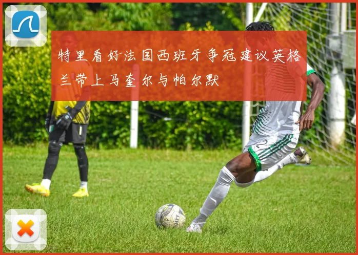 特里看好法国西班牙争冠建议英格兰带上马奎尔与帕尔默
